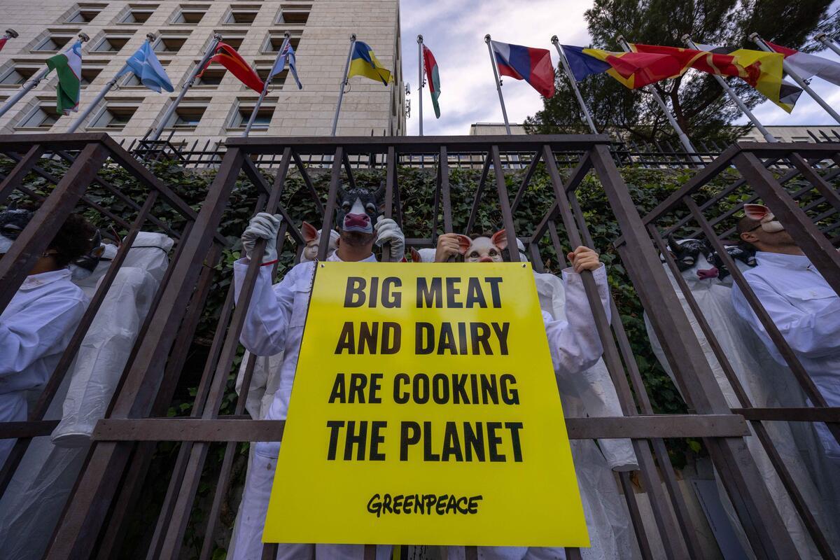 The Big Ag smoke and mirrors I’ll be watching out for at COP30