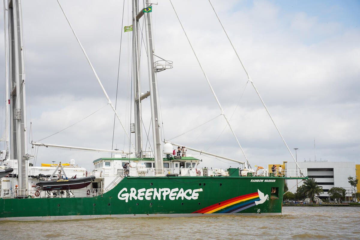 Greenpeace Ship Rainbow Warrior Arrives in Belém for COP30. © Filipe Bispo / Greenpeace