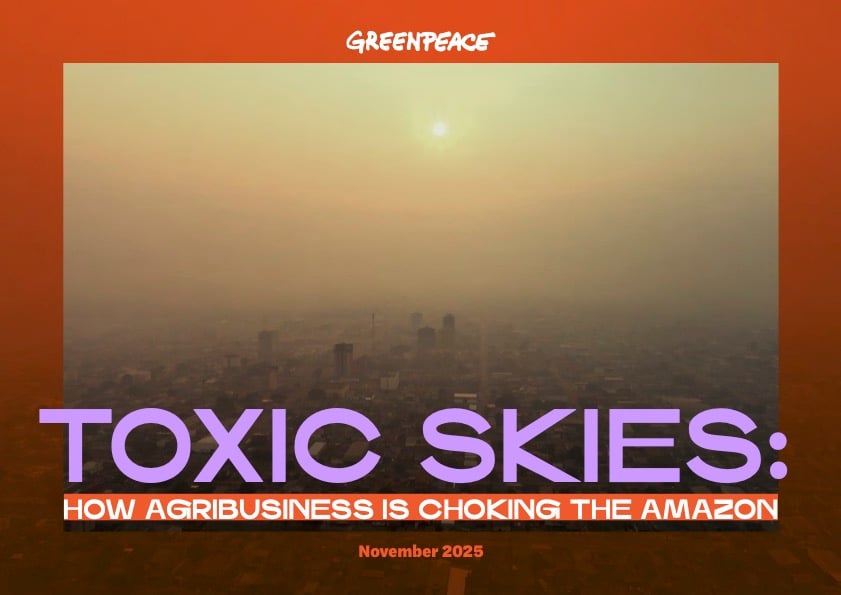 Toxic Skies: How agribusiness is choking the Amazon
