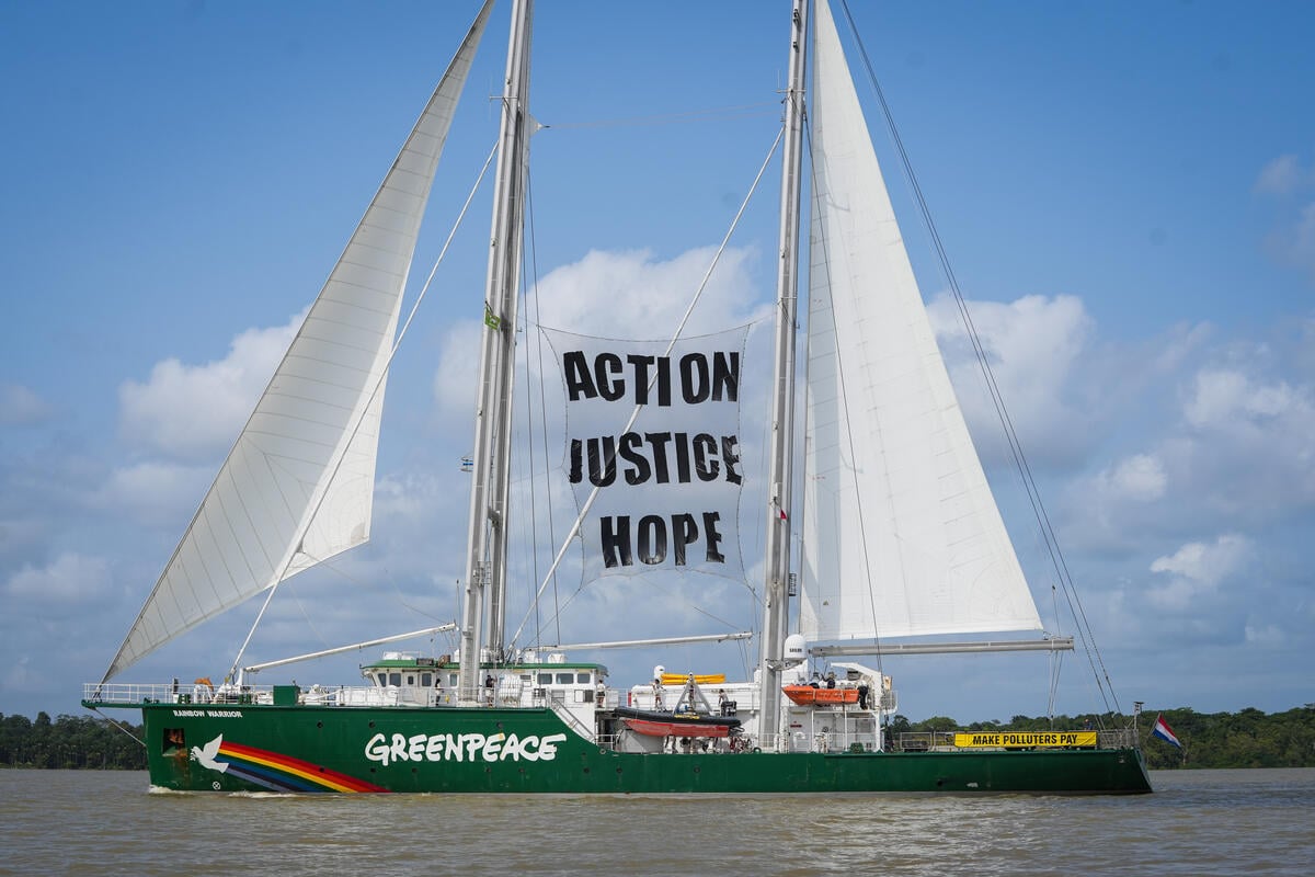 4 things Greenpeace is fighting for at COP30