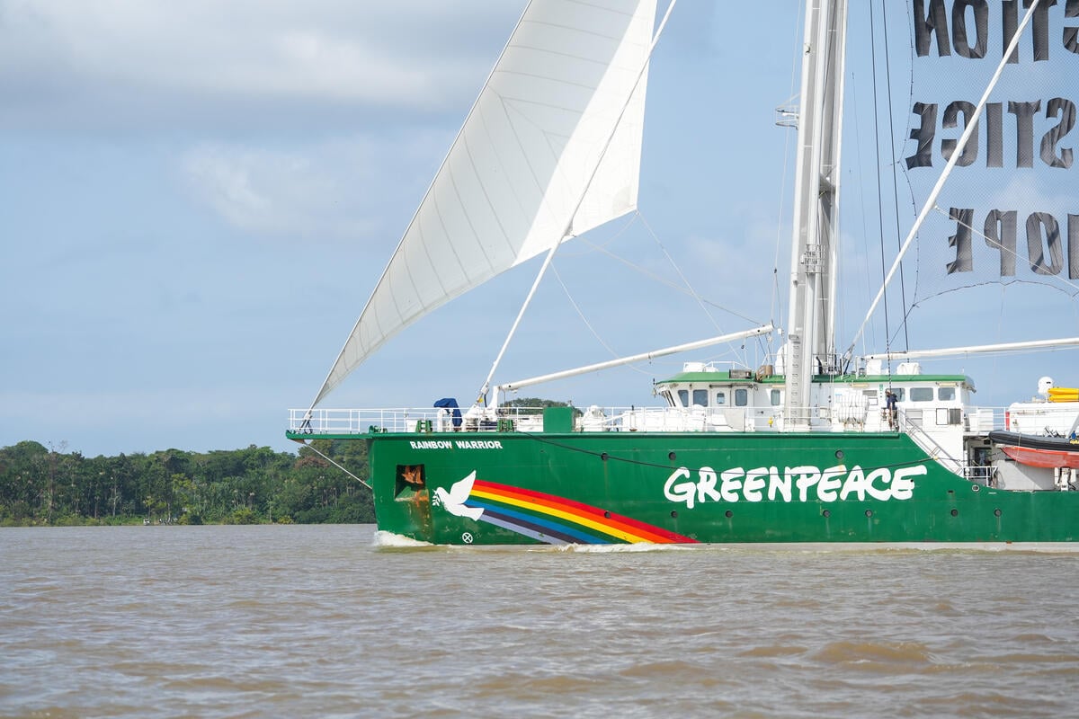 Greenpeace ship Rainbow Warrior arrives in Belém for COP30