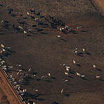 Greenpeace Brazil documented how the Farm Nova Orleans, a massive property marked by embargoes and illegal deforestation, and the small rural property Chácara Rancho Alegre form a cattle laundering scheme that supplies JBS and threatens the Amazon.
Aerial images highlight the stark contrast in scale between the two properties, as well as the differences in their cattle ranching infrastructure.