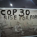 Brazilian artivist Mundano delivered, in partnership with Greenpeace a striking art installation to demand world leaders take bold action for forests at COP30. Mundano wrote the message “COP30: Rise for Forests” with transparent ink, and used ashes taken from forest fires in the Amazon to reveal the text.