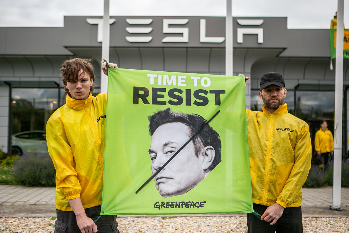 Can you beat Elon Musk at his own game?