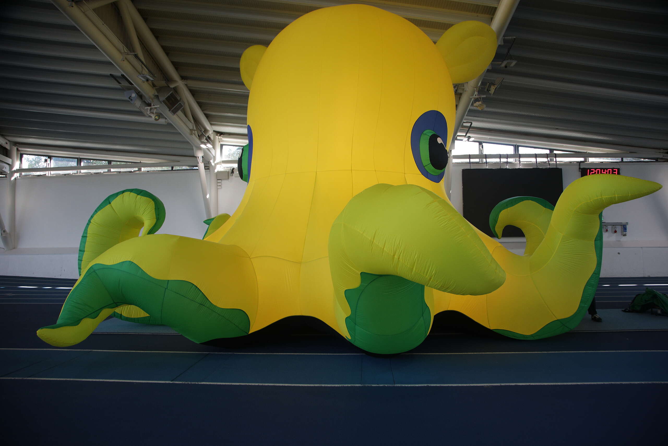 Meet our brand new inflatable octopus. Help name our new ocean friend