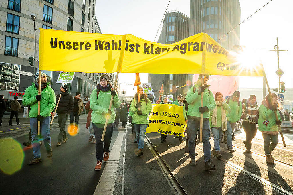 Greenpeace activists and volunteers march in the annual 'We have had enough!' protest for a more sustainable agriculture in Berlin. Environmental activists take to the streets with Greenpeace's pig and cow balloons, banners, and signs. &copy; Chris Grodotzki / Greenpeace