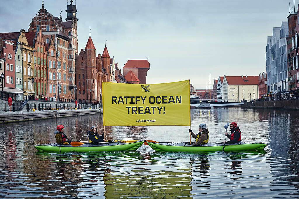 Greenpeace Poland activists on kayaks in Gdansk demand an urgent ratification of the Ocean Treaty.