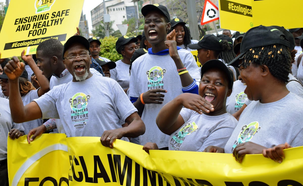 Hope comes alive when we take action: 8 Good News stories 2025