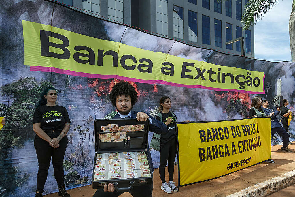 Protest against Banco do Brasil in Brasilia. © Tuane Fernandes / Greenpeace Protest against Banco do Brasil in Brasilia. © Tuane Fernandes / Greenpeace