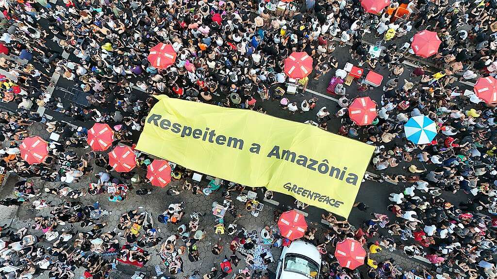 Volunteers from Greenpeace Brazil opened a 12-meter banner with the message Respect the Amazon during Lady Gaga's pre-show in Copacabana on May 3. &copy; Bruno Baldrone / Greenpeace