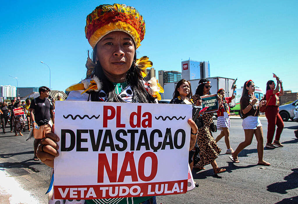 Between August 5 and 7, the Greenpeace Brazil Volunteer Team was in Brasília to participate in the 4th Indigenous Women’s March, which this year carried the theme: “Our Body, Our Territory: We Are Guardians of the Planet for the Healing of the Earth.” During the march, we joined forces with Indigenous women from across Brazil, carrying our banner reading “VET IT, LULA” in protest against the so-called “PL da Devastação", which threatens to weaken environmental licensing and put forests, rivers, and traditional ways of life at risk. We also distributed themed hand fans, which featured information about the Indigenous Women’s House — a crucial initiative that provides shelter and specialized care. Our agenda included a visit to the Ministry of Women, at the invitation of Dadá Baniwa, coordinator of Funai in the Rio Negro region, to discuss the establishment of the Indigenous Women’s House within the Amazon biome, in São Gabriel da Cachoeira (AM). This meeting marked an important step toward advancing public policies that ensure protection and dignity for Indigenous women. © Scarlett Ramos / TAG / Greenpeace