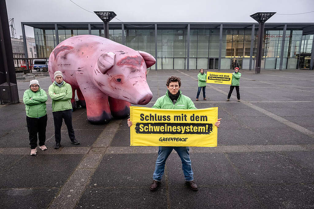 Protest at Meat Congress in Mainz. © Bernd Hartung / Greenpeace Protest at Meat Congress in Mainz. © Bernd Hartung / Greenpeace