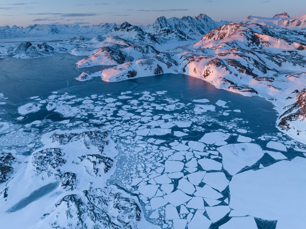 Greenpeace Denmark Statement on Greenland