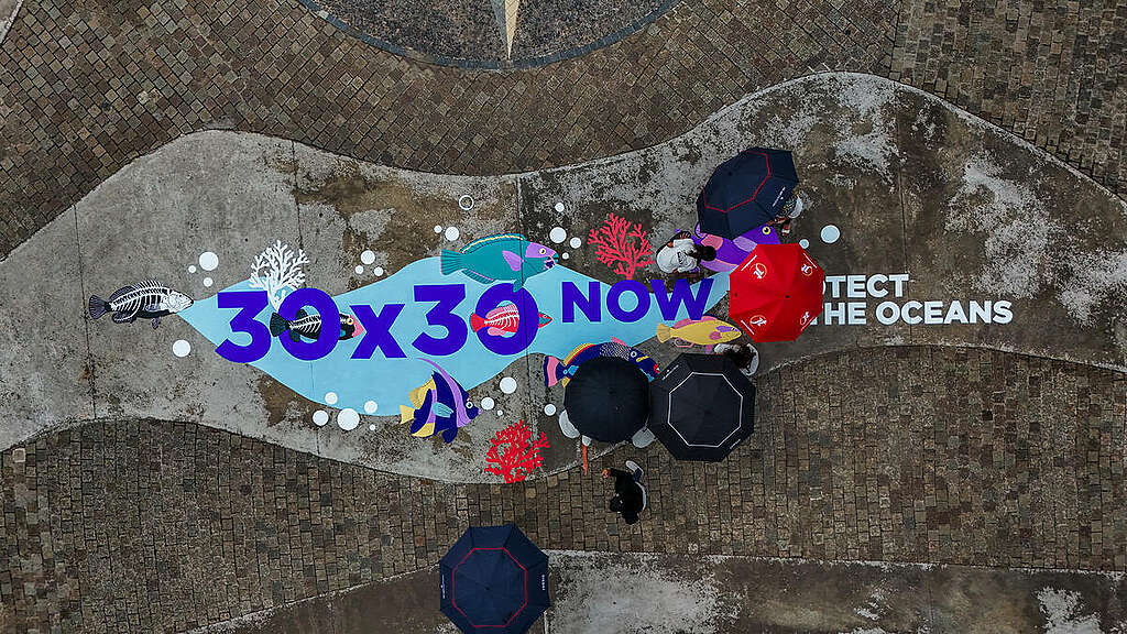 Mural for Ocean Protection: A Visual call to safeguard our oceans - Mauritius (Drone Photos). &copy; Greenpeace / Caleb Mbuvi