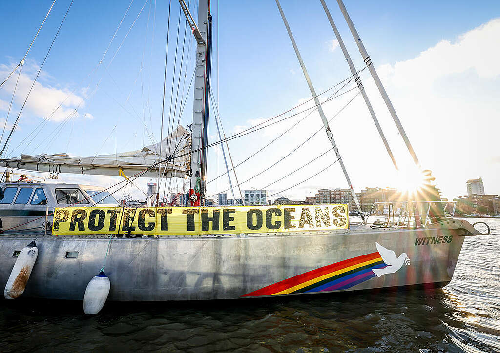 SY Witness arrives in London. &copy; Elizabeth Dalziel / Greenpeace