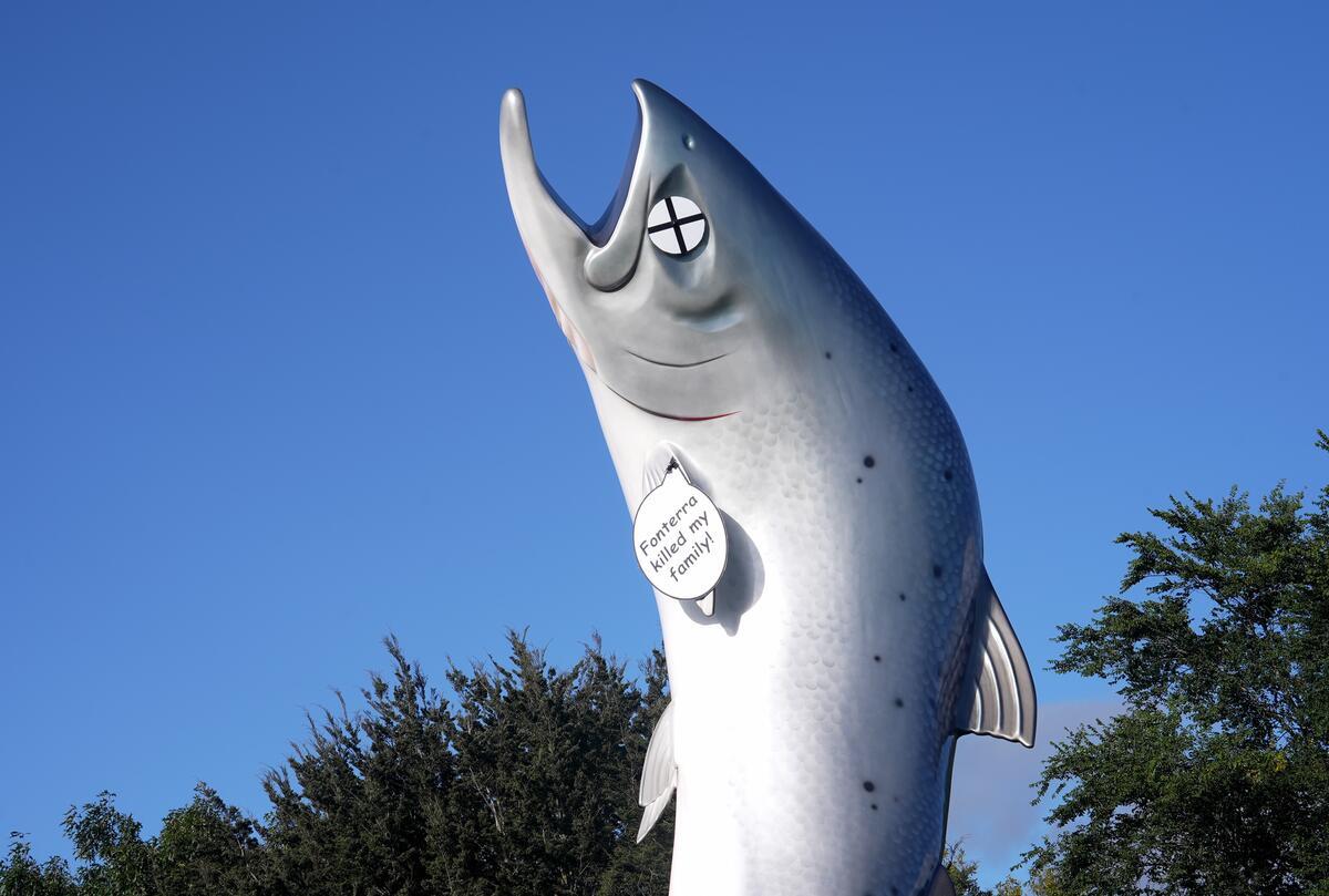 Greenpeace Pictures of the Week