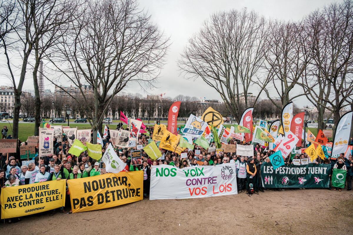 Citizen Mobilization against Pesticides in Paris. &copy; Basile Barjon / Greenpeace