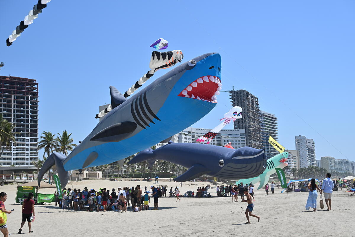 Monumental Kite Festival for the Oceans, Acapulco, Guerrero. &copy; Jes&uacute;s Espinosa Espinosa / Greenpeace