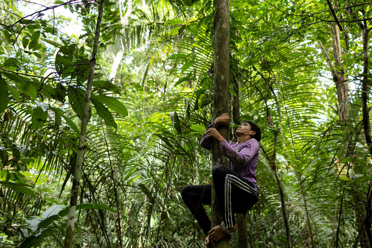Respect the Amazon Expedition: Xibauazinho Community. © Nilmar Lage / Greenpeace Respect the Amazon Expedition: Xibauazinho Community. © Nilmar Lage / Greenpeace
