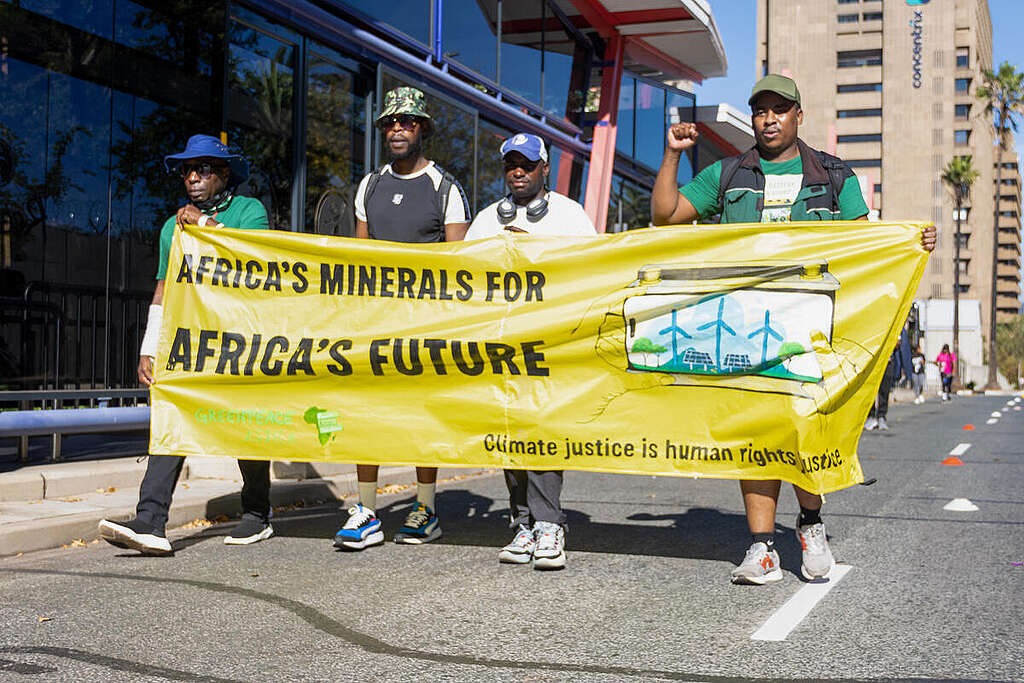 Human Rights Day Festival in Johannesburg, South Africa. &copy; Tumelo Mohlamonyane / Greenpeace