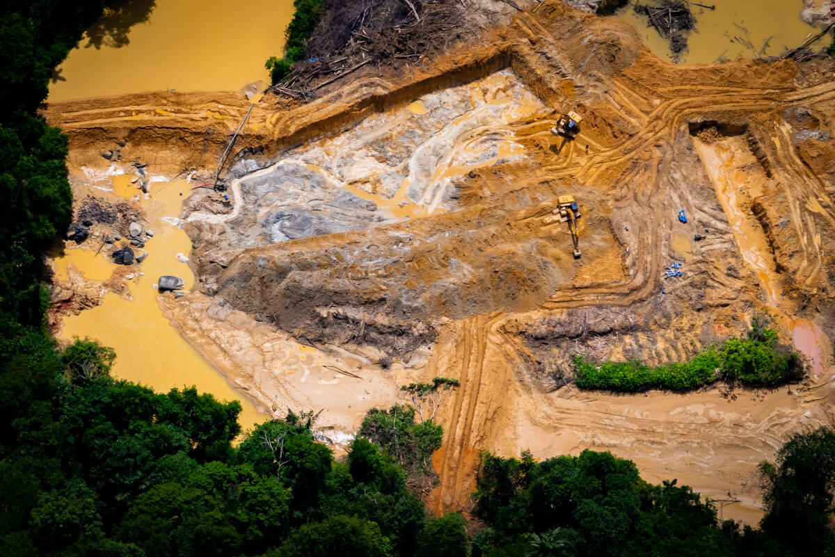 Illegal Road and Machinery in the Yanomami Indigenous Land in the Amazon. © Valentina Ricardo / Greenpeace Illegal Road and Machinery in the Yanomami Indigenous Land in the Amazon. © Valentina Ricardo / Greenpeace