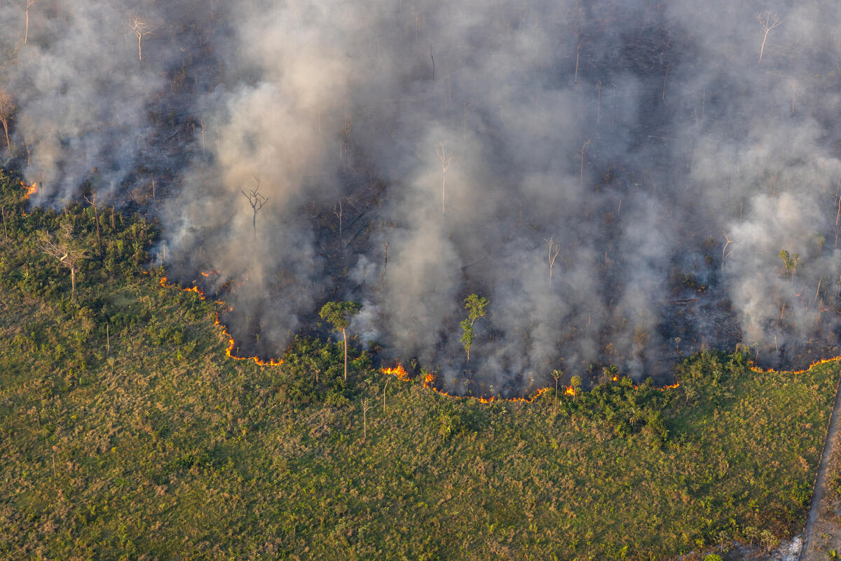 Aerial Monitoring of Fires and Deforestation in the Amazon. © Marizilda Cruppe / Greenpeace Aerial Monitoring of Fires and Deforestation in the Amazon. © Marizilda Cruppe / Greenpeace