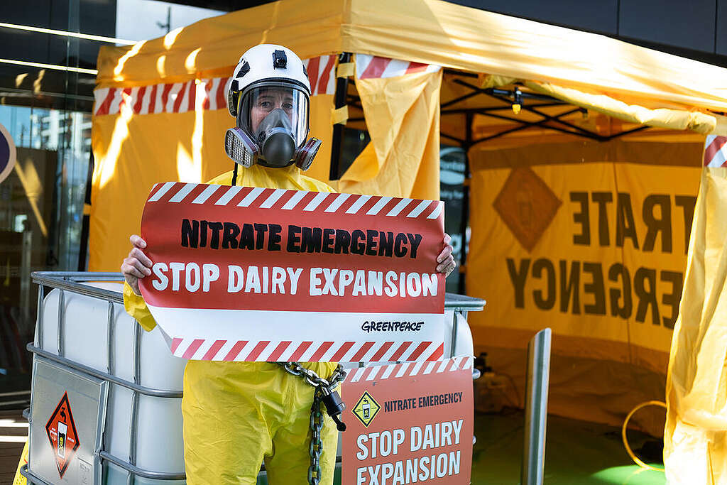 An activist holds up a sign that says “Nitrate Emergency” in front of New Zealand’s largest dairy company, Fonterra.