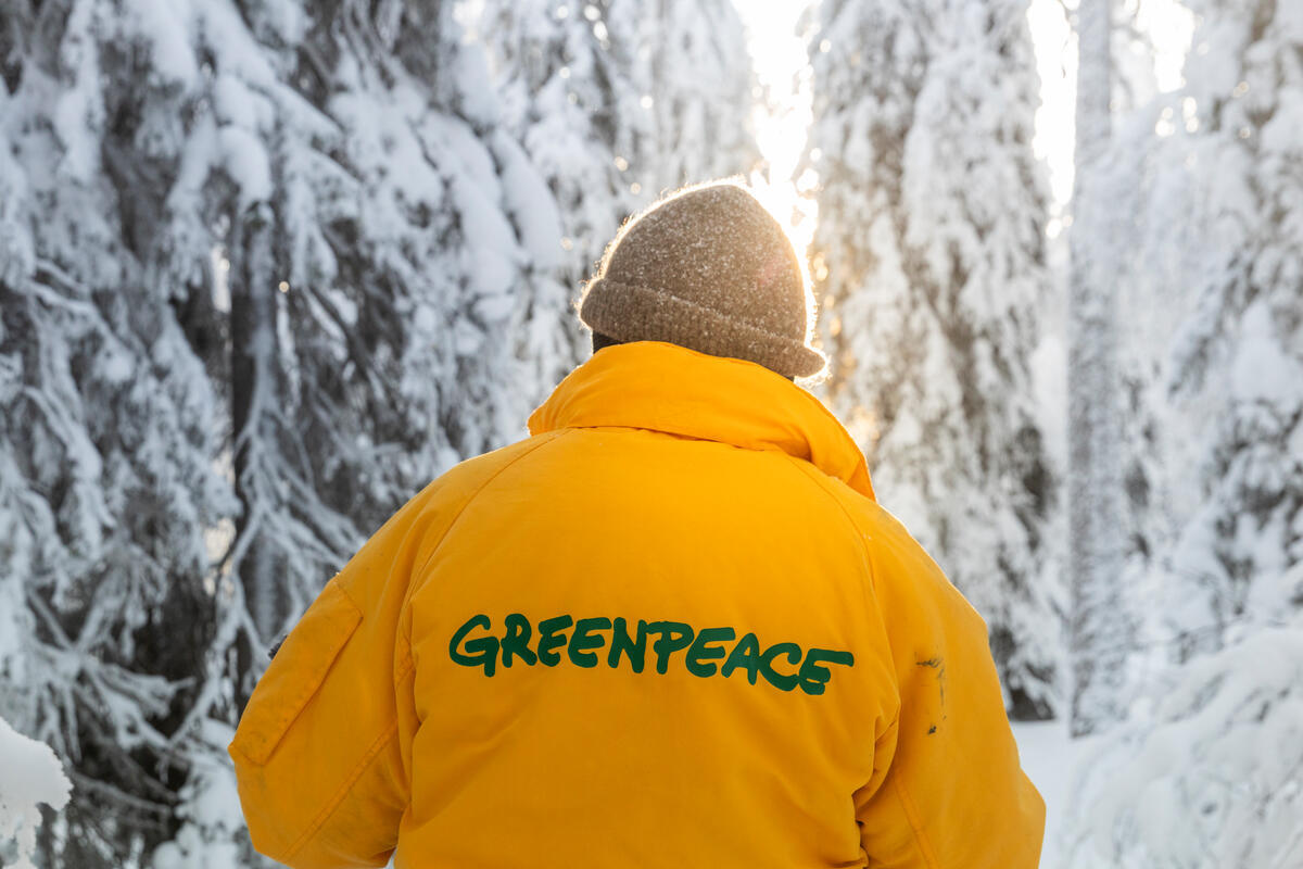 Forest Patrolling in Natural Forests in Finland. &copy; Jarkko Virtanen / Greenpeace
