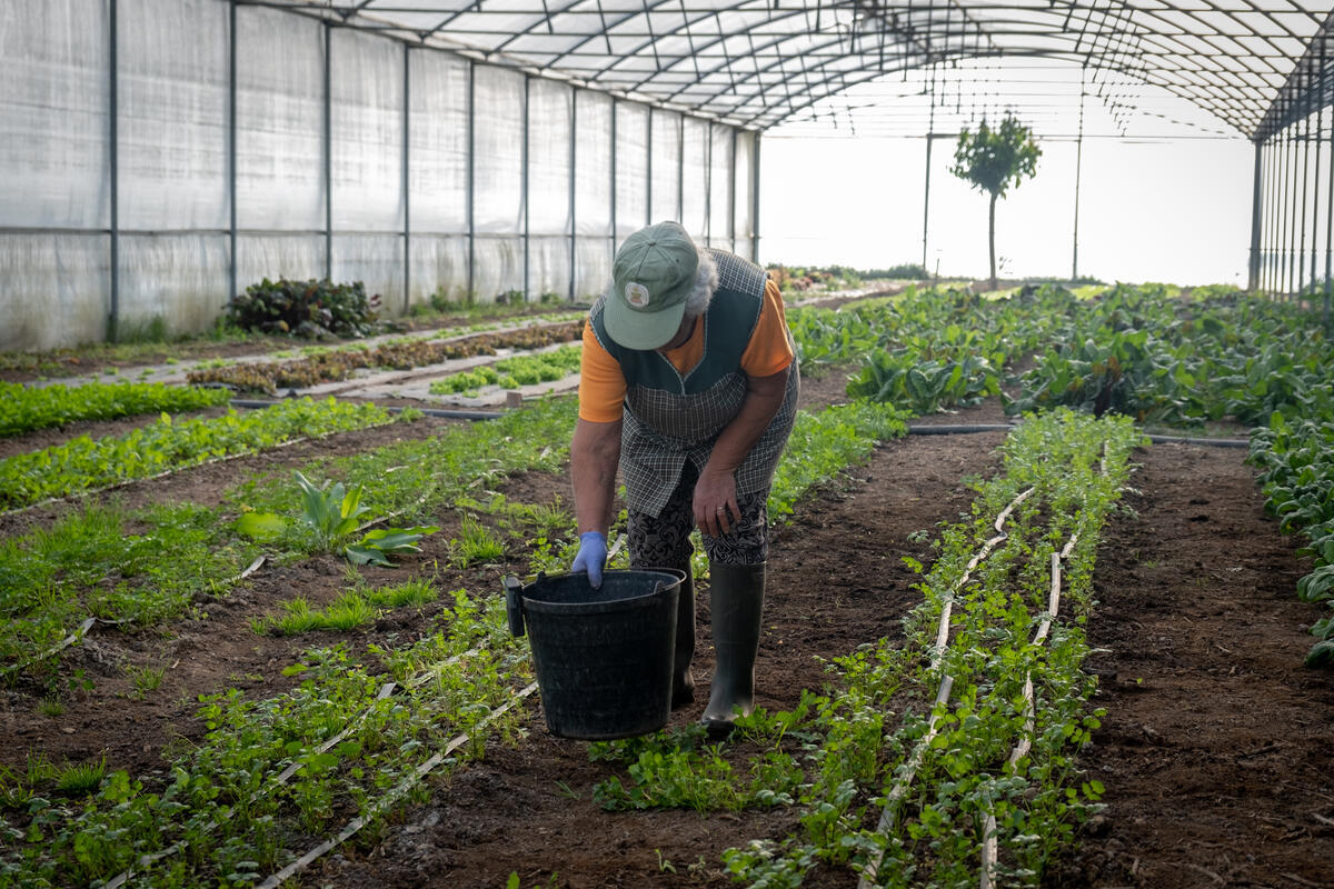 Farm in Alentejo, Portugal. © Pedro Armestre / Greenpeace