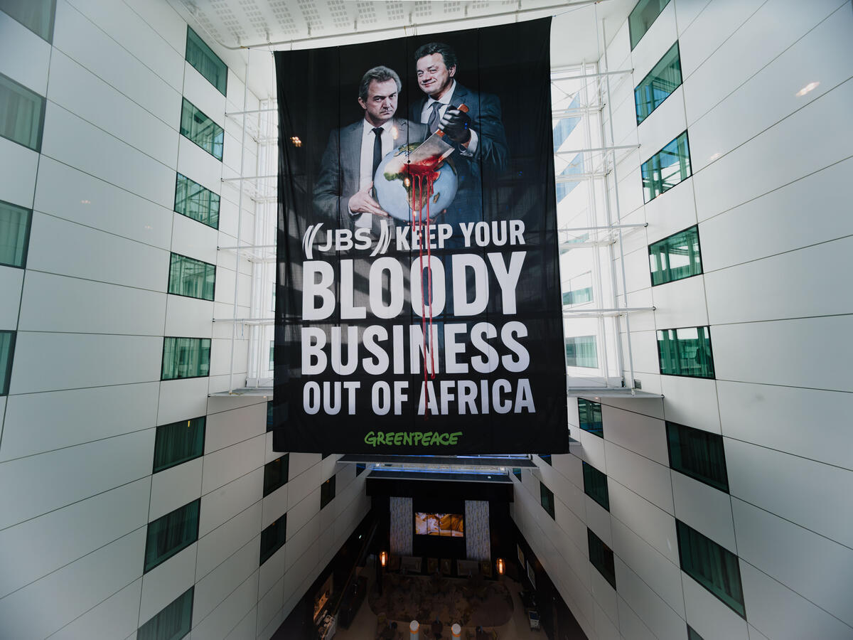 Greenpeace initiate legal action against meat giant JBS, as activists shut down first Dutch shareholder meeting