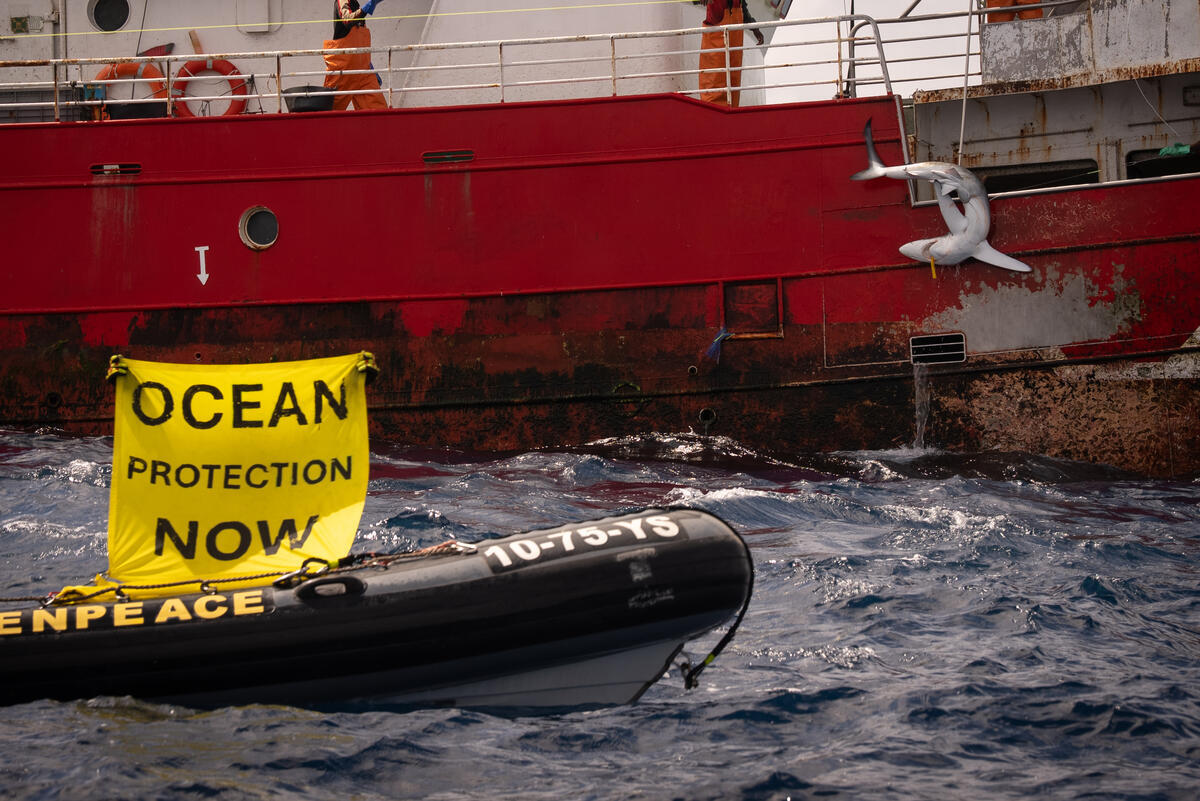 Action near Spanish Longline Vessel in the Atlantic Ocean. &copy; Maarten van Rouveroy / Greenpeace