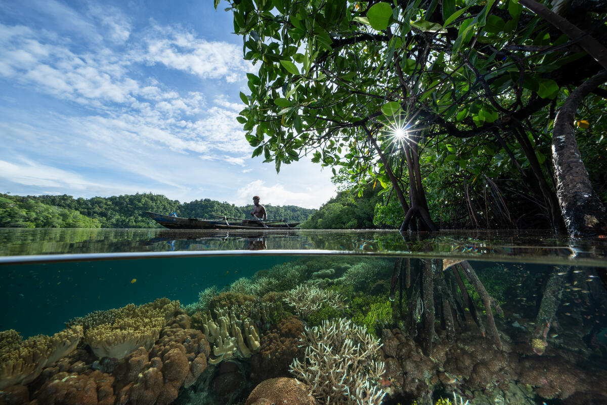 Reef in the Waters Surrounding Yangeffo Island, Raja Ampat. © Wendy  Mitchell / Greenpeace