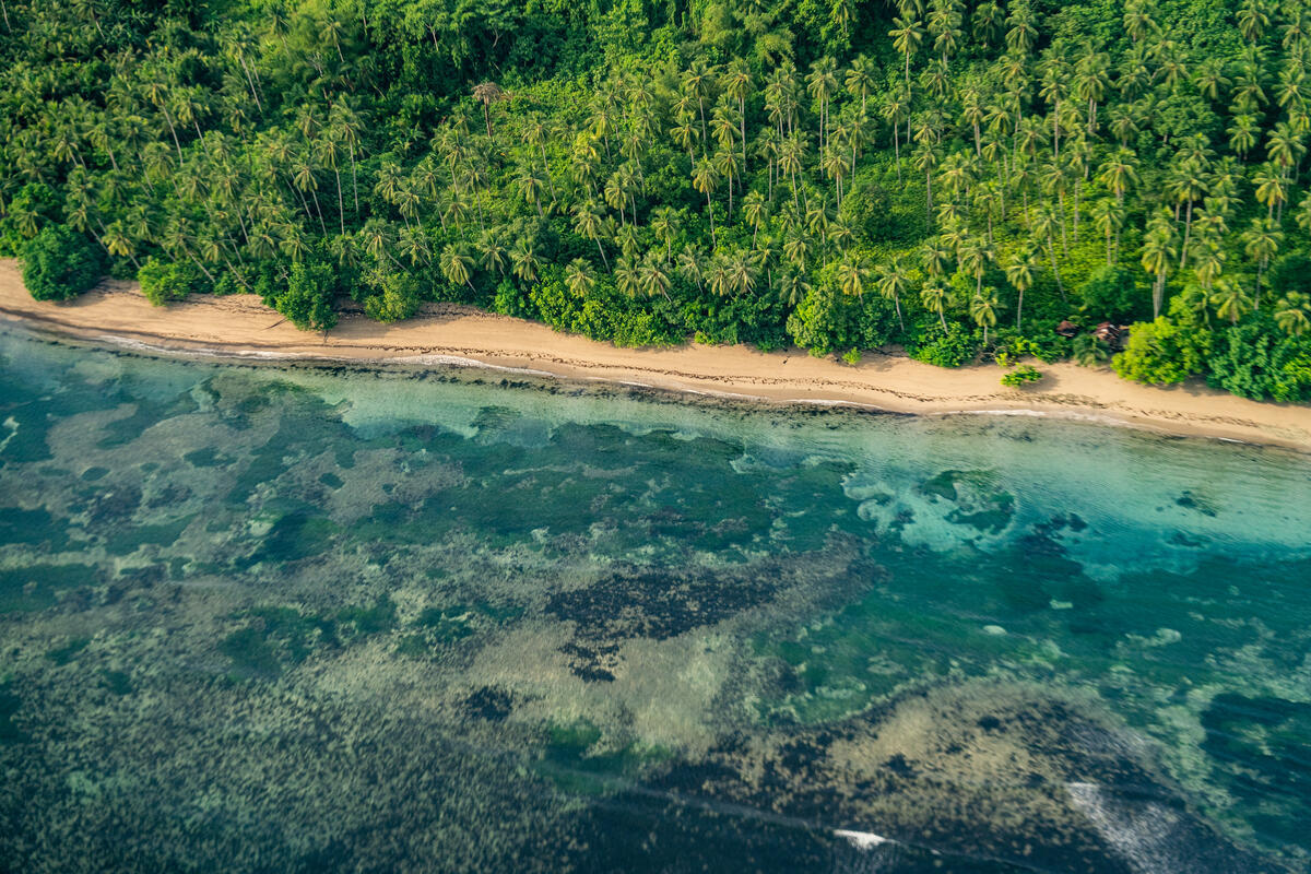 From Forests to Oceans: Meet five Earth Defenders showing what real protection is 