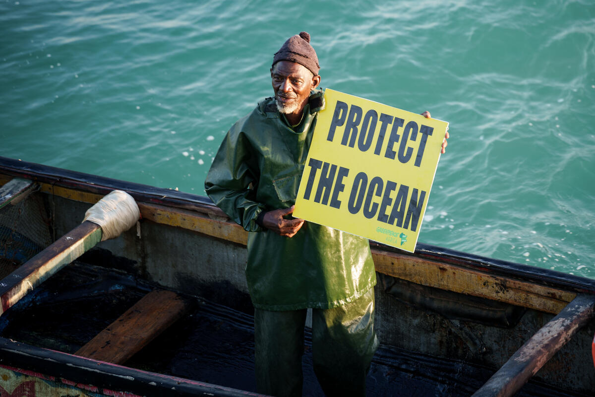 Greenpeace most read stories of 2026 so far