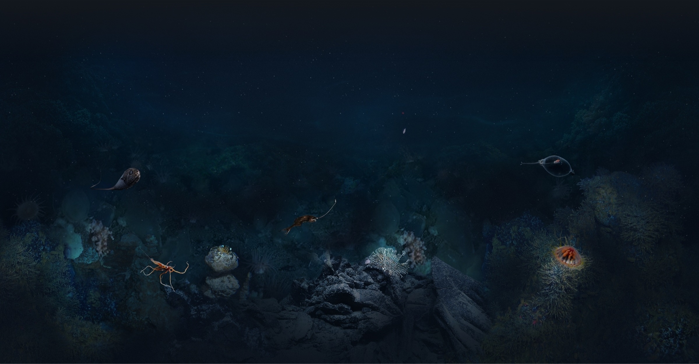 Deep arctic expedition seabed