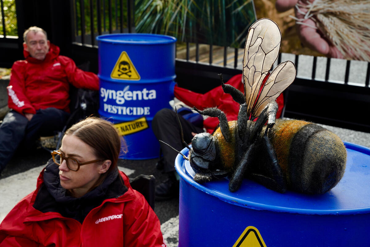 Greenpeace Pictures of the Week