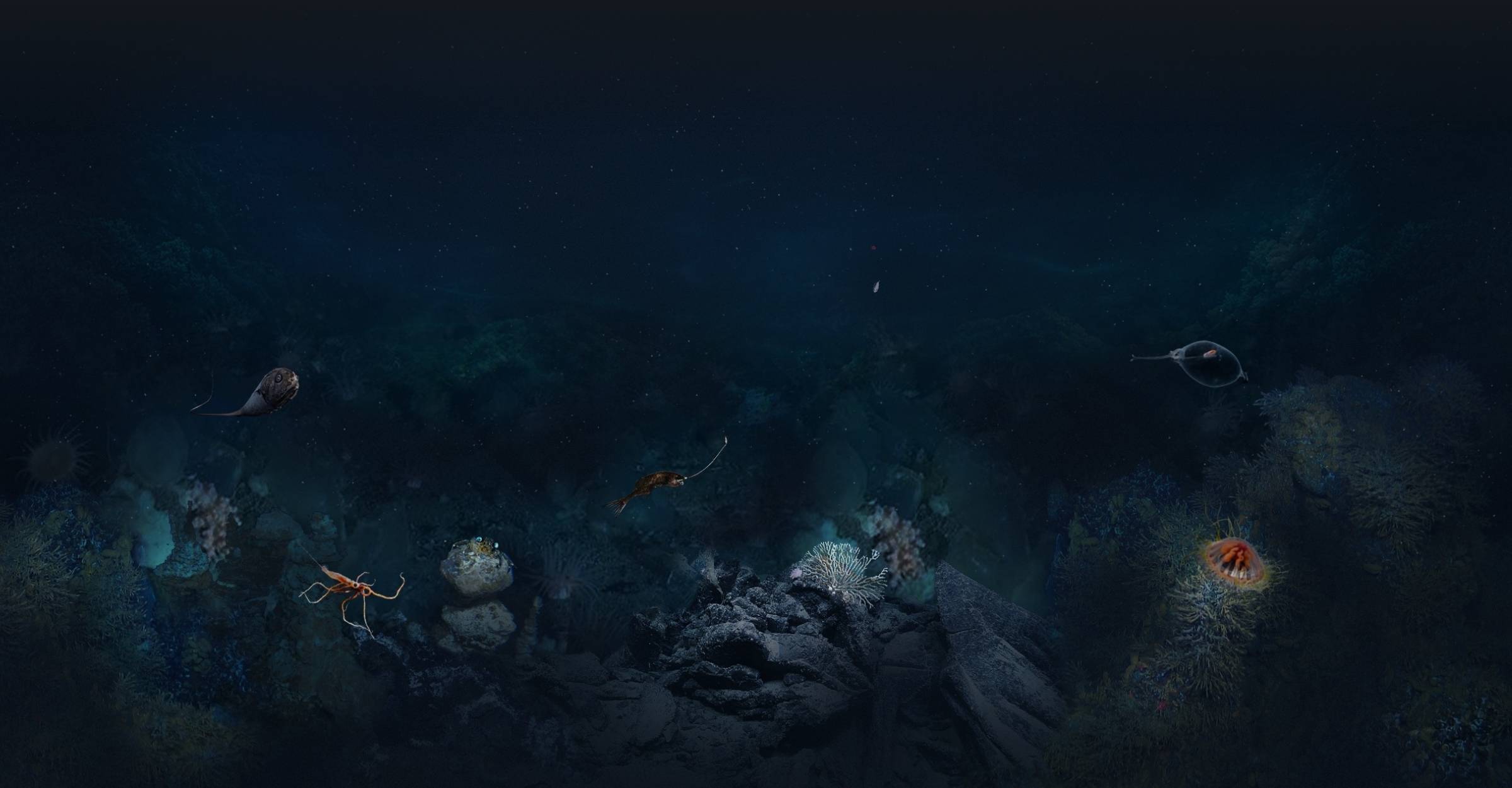 Deep arctic expedition seabed