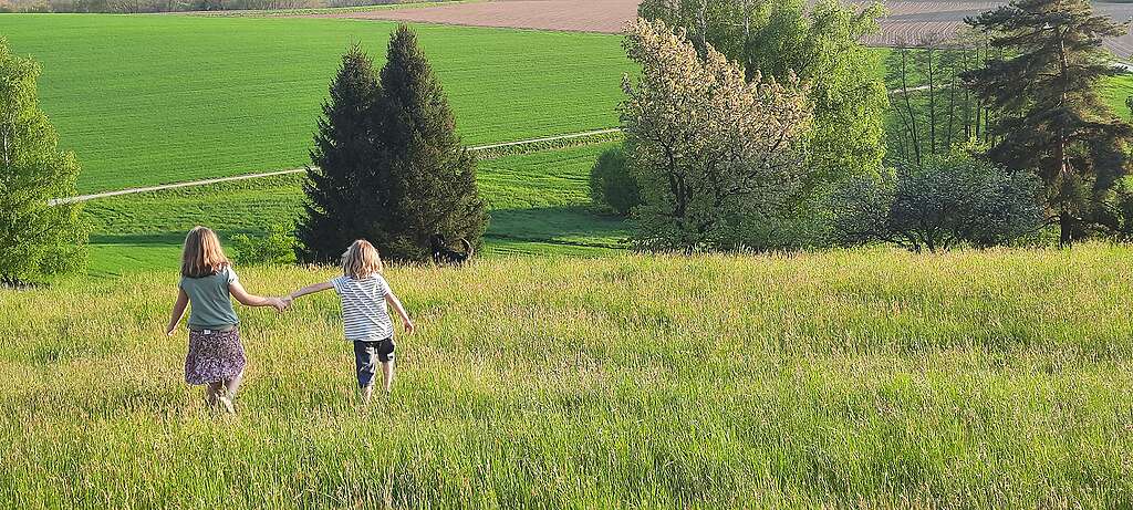 The author's children play in a meadow near their home