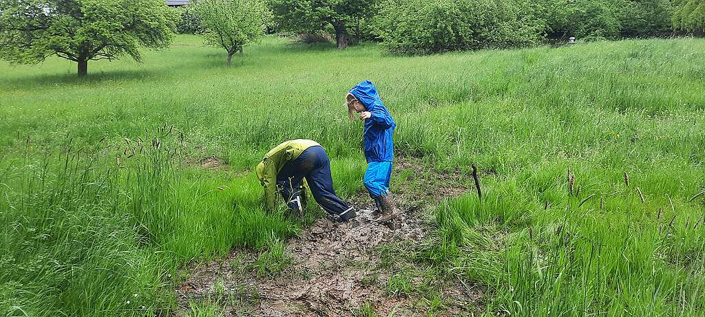 The author's children play in the family garden.