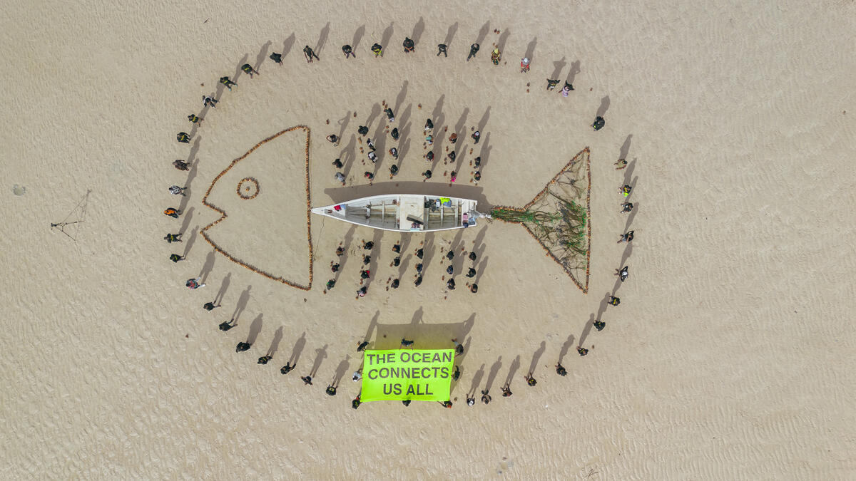 Greenpeace Pictures of the Week