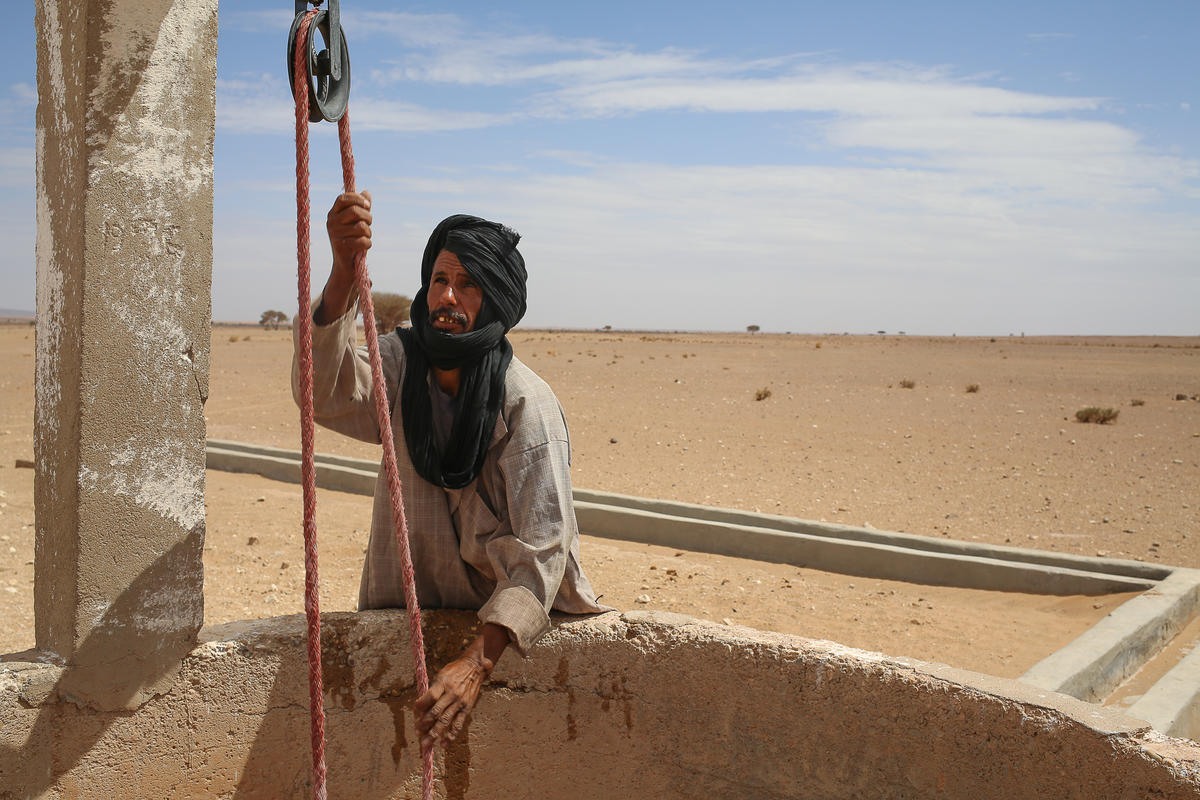 Climate Change Impacts on Moroccan Oases As part of Greenpeace's campaigns aiming to shed light on the effects of climate change in the MENA, Greenpeace visited and witnessed the climate change impact in one of the Moroccan oases - Mahamid ElGhezlan. Greenpeace released a documentary titled