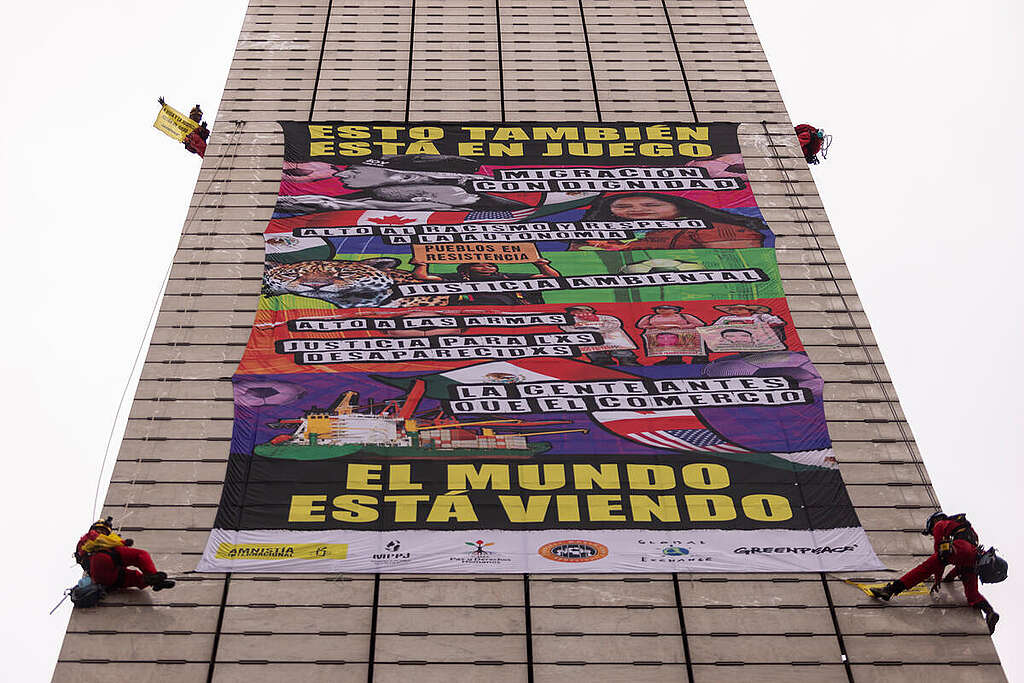 Joint Action for Social and Environmental Justice in Mexico City Joint action for social and environmental justice by Greenpeace Mexico/Amnesty International/Global Exchange.
In a historic initiative, more than 100 civil society organizations and networks from Mexico and the United States joined forces to call on President Claudia Sheinbaum Pardo to address the serious social and environmental issues affecting the country, rather than focusing solely on the World Cup.
Two days before the World Cup opening ceremony, with a massive 21-meter-long banner unfurled 60 meters high on the Estela de Luz by Greenpeace Mexico activists, the groups denounced that issues of migration, disappearances, violence, dispossession, forced displacement, and environmental justice have been ignored, and that the commercial interests of the USMCA (United States–Mexico–Canada Agreement) take precedence over the people. The message sent to the Mexican government regarding these issues was clear: “This is also at stake. The world is watching.”
