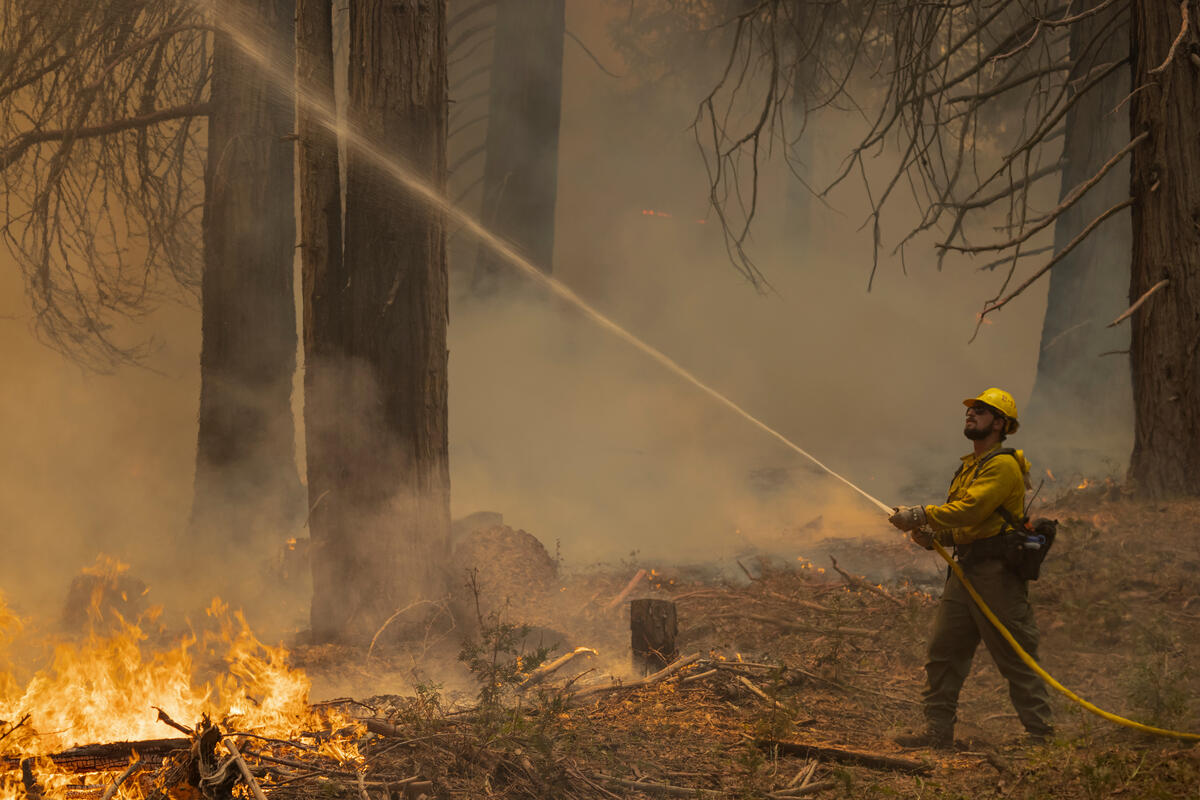 Record Wildfires and Worsening Drought Conditions in California Firefighters set a backfire to try to save cabins near Shirley Meadow as the French Fire grows, destroying homes and properties amid record wildfires and worsening drought conditions across the West on August 22, 2021 near Wofford Heights, California. Large portions of the West are now classified as being in