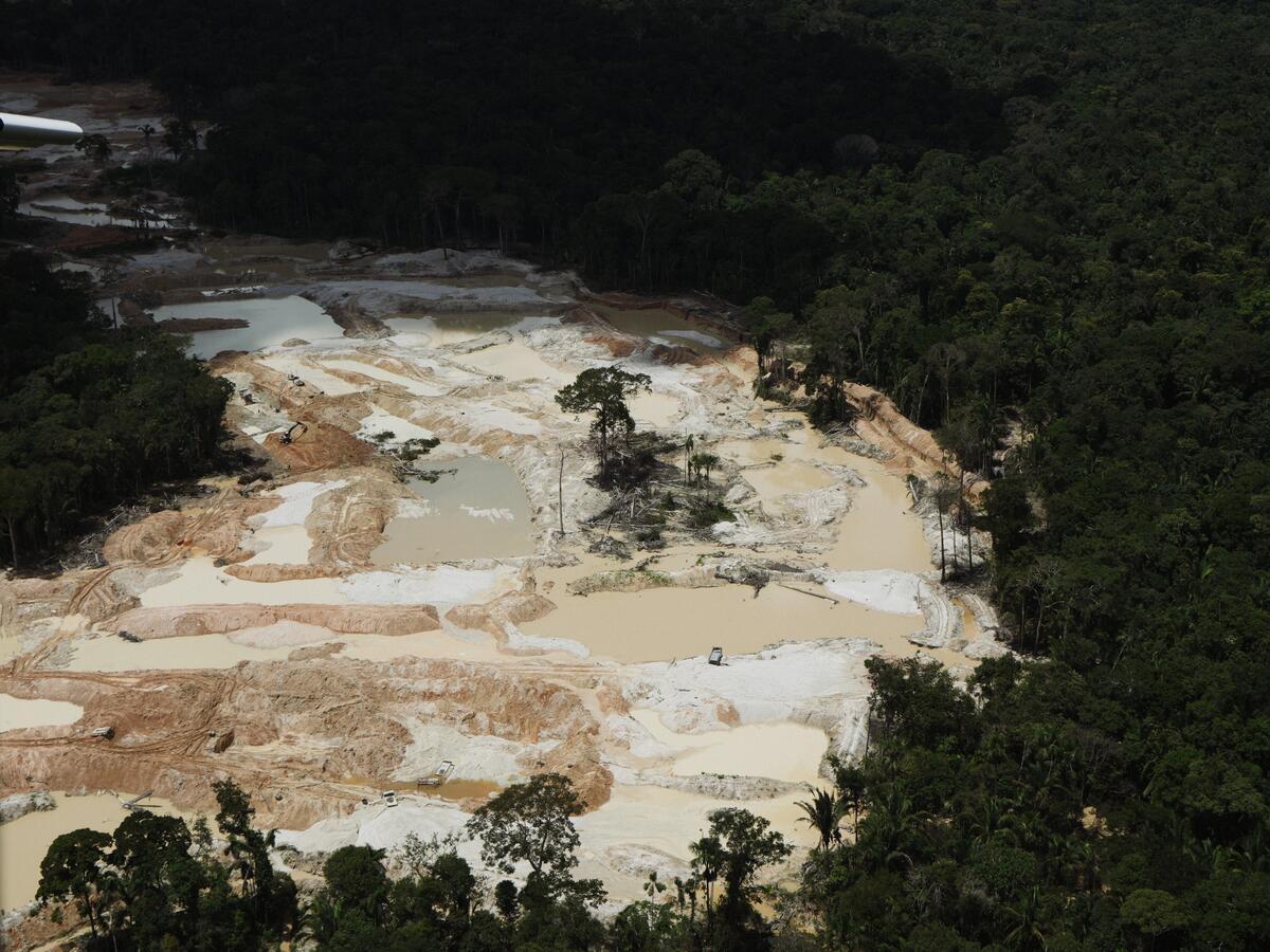 From March 16 to 21, 2025, Greenpeace Brazil, together with partners, worked in the state of Mato Grosso to denounce the occurrence of mining in the Amazon Indigenous Lands. Flights were carried out over the Sete de Setembro, Zor&oacute;, Aripuan&atilde; and Tenharim Marmelos Indigenous Lands.Illegal mining in the Amazon has become one of the greatest threats to Indigenous Lands and Conservation Units, impacting not only the environment but also the traditional communities that inhabit the region. The territories are affected by this criminal activity, suffering from river contamination, deforestation and violence associated with mining.