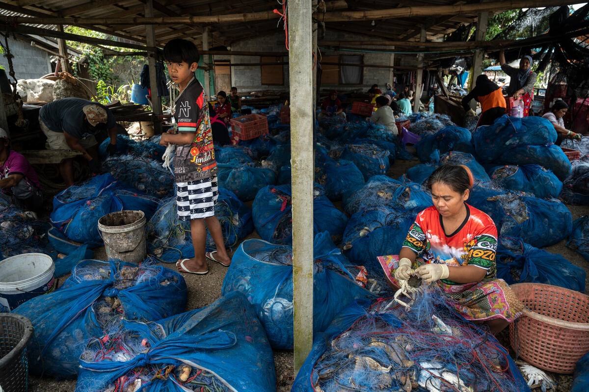 Fisherfolk in Na Tub Canal, Chana District, Songkhla, Thailand Villagers disentangle blue swimming crab (Portunus pelagicus) from the nets at a fishing pier in Chana district, Songkhla, Thailand.The industrial project backed by the government may turn this area into an industrial zone, and the community voices their concerns over the potential impact on marine biodiversity and their livelihood.Greenpeace Thailand's Ocean Defenders campaign helps empower local communities to protect the environment, marine ecosystem, and the local people in coastal areas.