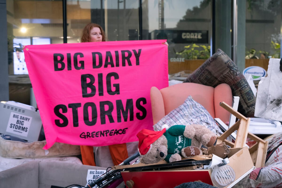 Climate Protest at Fonterra Dairy Giant HQ in Auckland Greenpeace Aotearoa activists turn dairy giant Fonterra's Auckland HQ into flood zone in climate protest.The activists delivered household items damaged in recent flooding from Cyclone Gabrielle and the Auckland Anniversary floods, with messages saying: Big Dairy, Big Storms.Greenpeace is calling for the government to phase out synthetic nitrogen fertilizer, which is a key enabler of intensive dairy farming. Greenpeace is also calling for the Government to support farmers to shift to more plant-based organic regenerative farming.