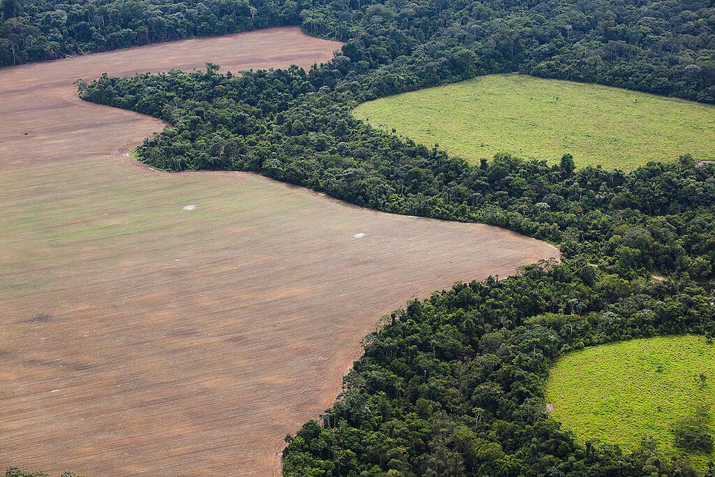 Deforested Area in the Amazon Soy fields and rainforest south of Santarem and along the road BR163.