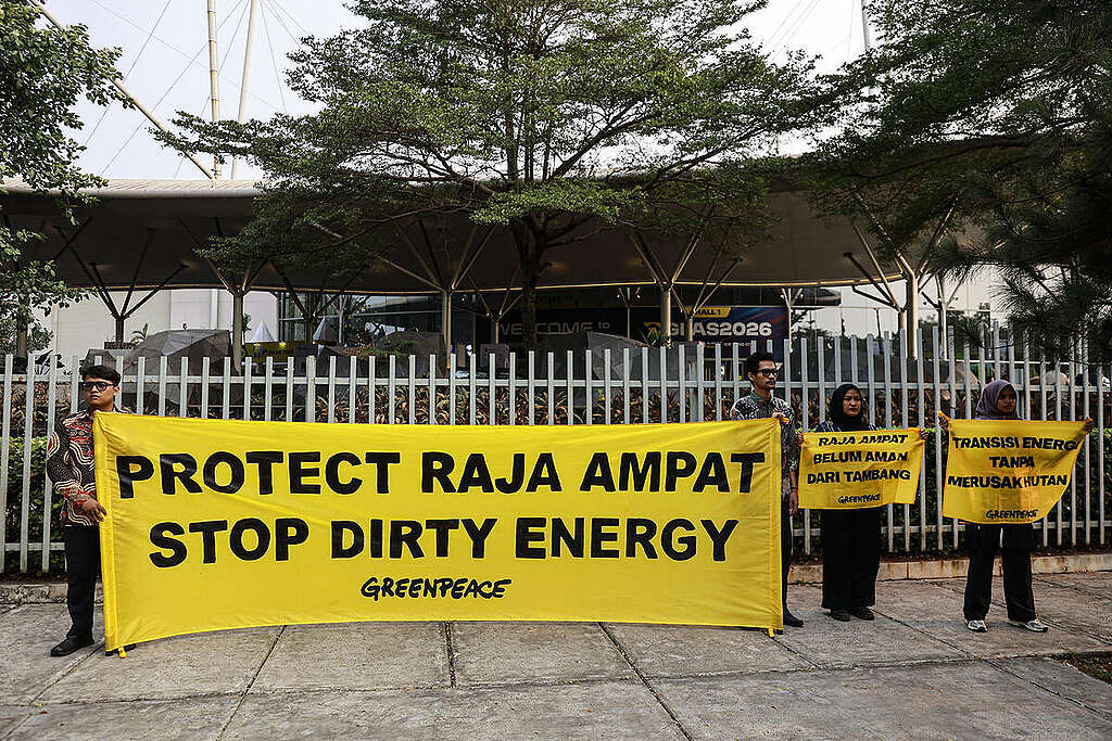 Greenpeace activists staged a peaceful, non-violent protest to reiterate their call for the full and permanent protection of the Raja Ampat ecosystem. This action involved unfurling banners reading “Protect Raja Ampat, Stop Dirty Energy” and “Is Your Car Powered by Forest Destruction?” just as Industry Minister Agus Gumiwang Kartasasmita pressed the button to open the Gaikindo Indonesia International Auto Show (GIIAS) 2026, the largest annual automotive exhibition in Indonesia.