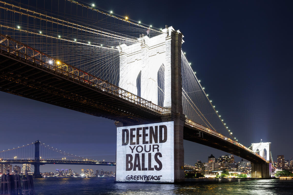 Greenpeace Pictures of the Week
