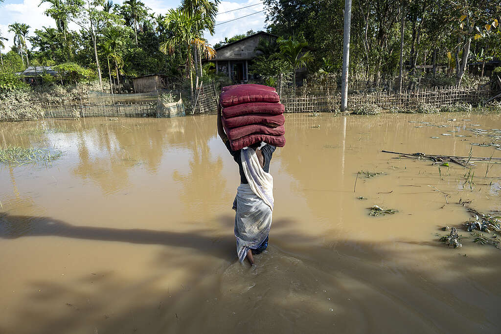 GettyImages-2286640186 A resident carries dried cushions on her head while wading through floodwaters in a flood-affected neighborhood, on July 22, 2026 in Jorhat, India. The flood situation in Assam remained critical, with more than 630,000 people affected across 21 districts. The stateâs death toll has risen to 12. © David Talukdar/Anadolu via Getty Images